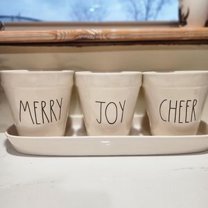 Rae Dunn Planter Pot Set